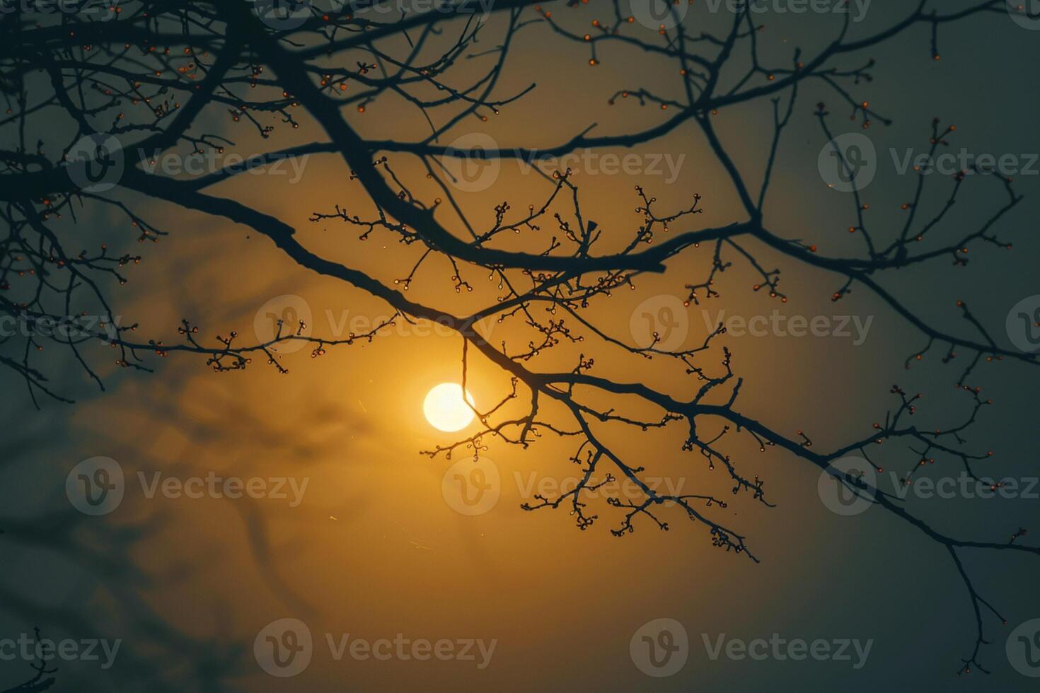 ai genererad träd grenar silhuett under de höst Sol, en fredlig scen foto