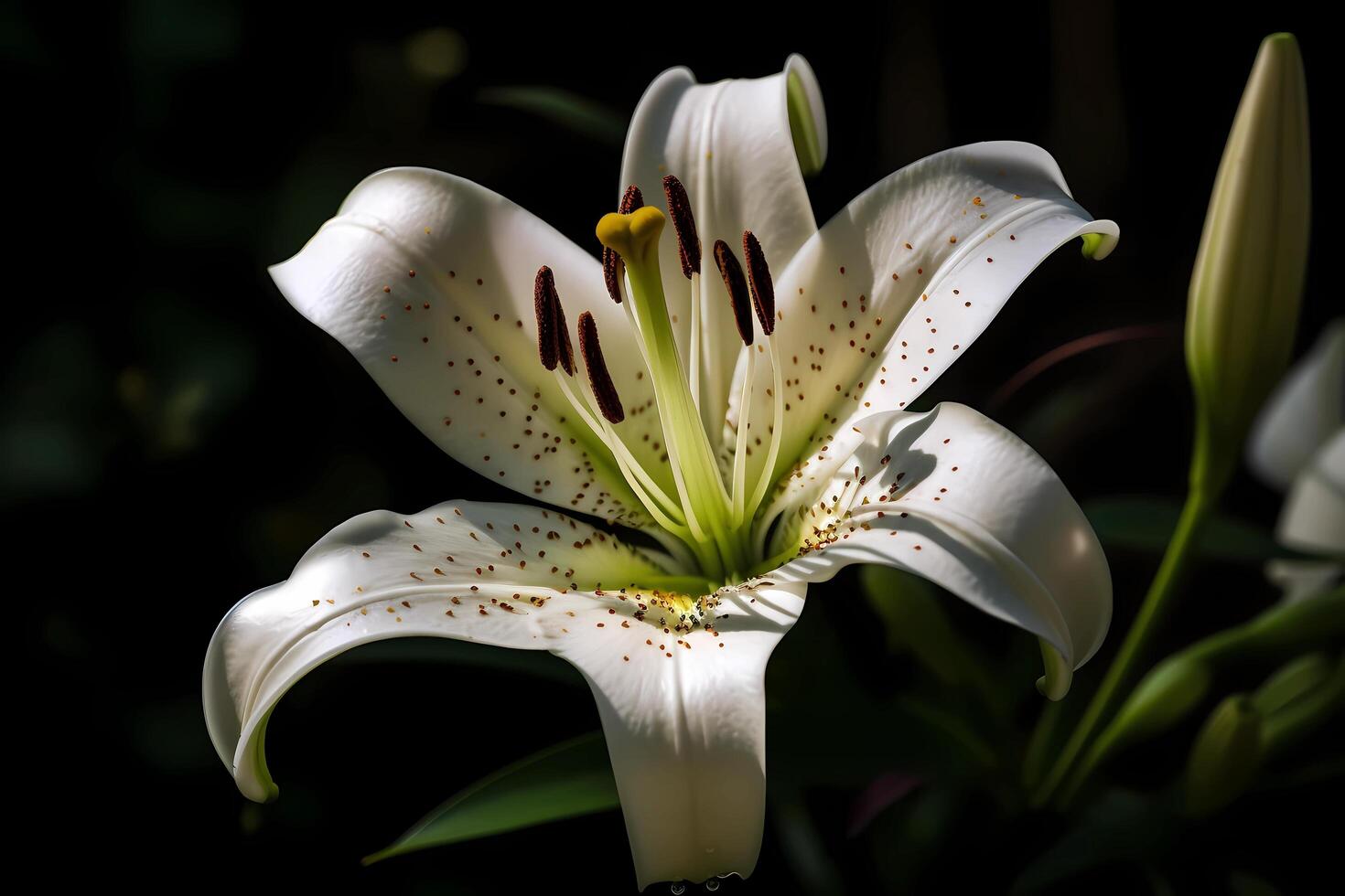 ai genererad lilja - lilium - blomma hittades Allt över de värld - komma i en mängd av färger och former. de är ofta Begagnade för dekorativ syften och som en symbol av renhet foto