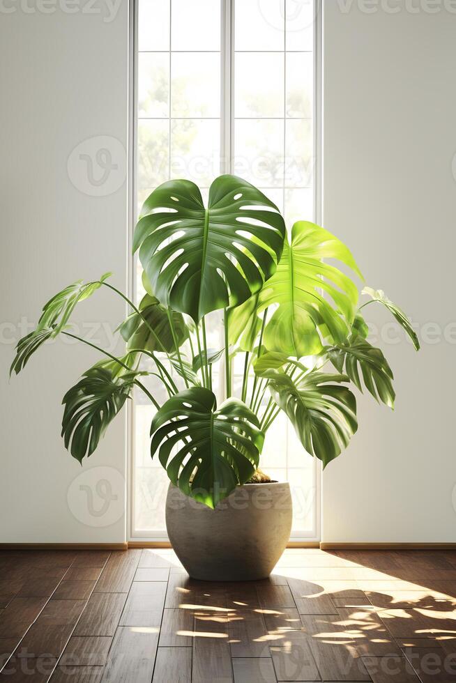 ai genererad monstera växt i de interiör förbi de fönster. friska miljö med grönska. ai genererad foto