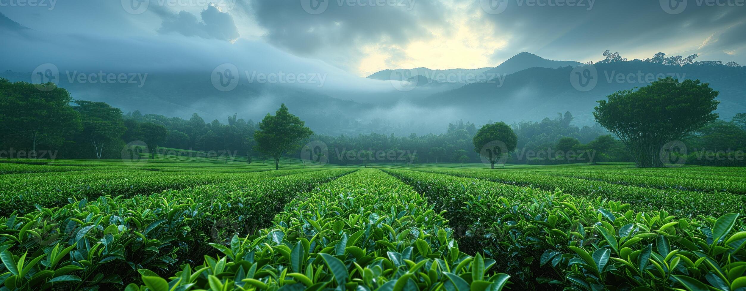 ai genererad te plantage grön landskap i de bergen foto