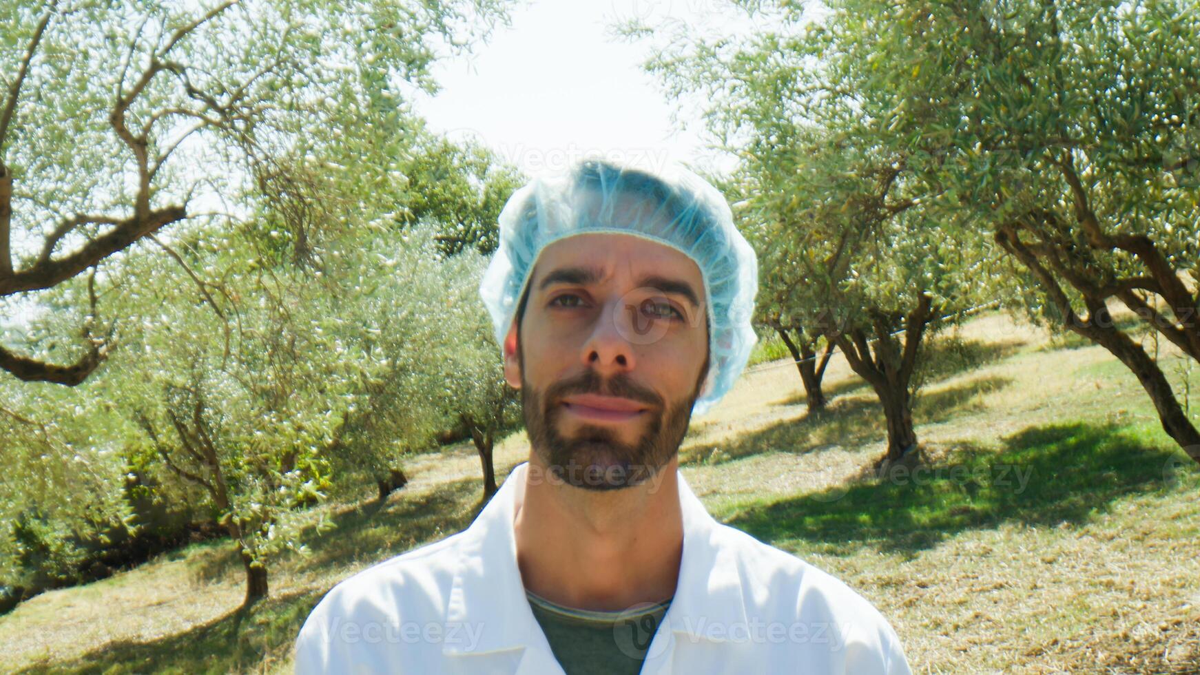 agronomi i oliv fält. stänga upp. foto