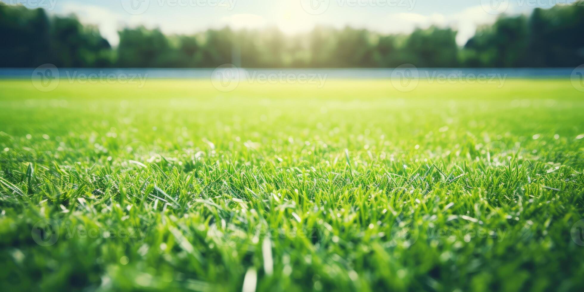 ai genererad grön gräs på en fält med solbelyst färsk och en klar himmel. panorama- se av fotboll fält stadion. generativ ai foto