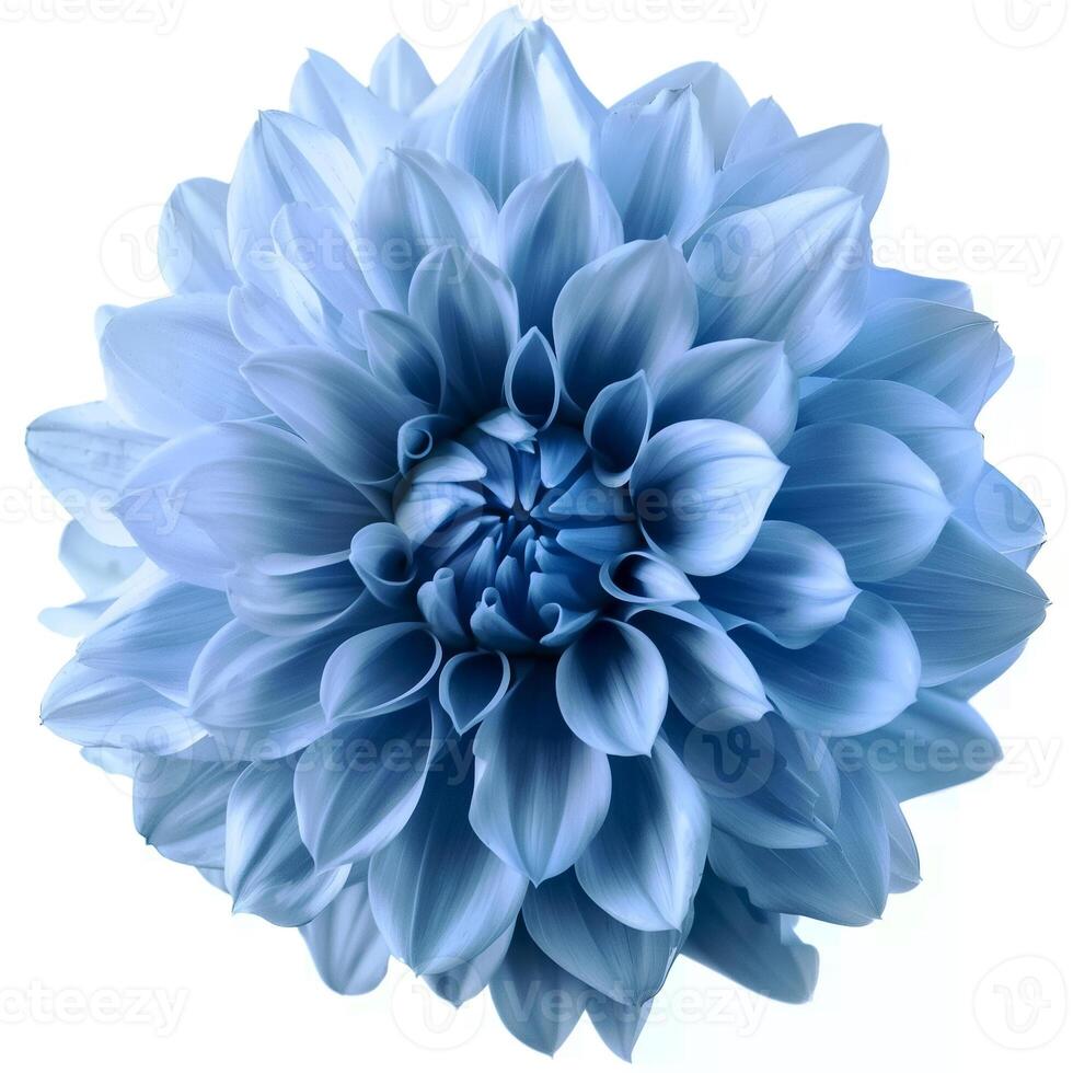 ai genererad ljus blå blomma på en vit bakgrund foto
