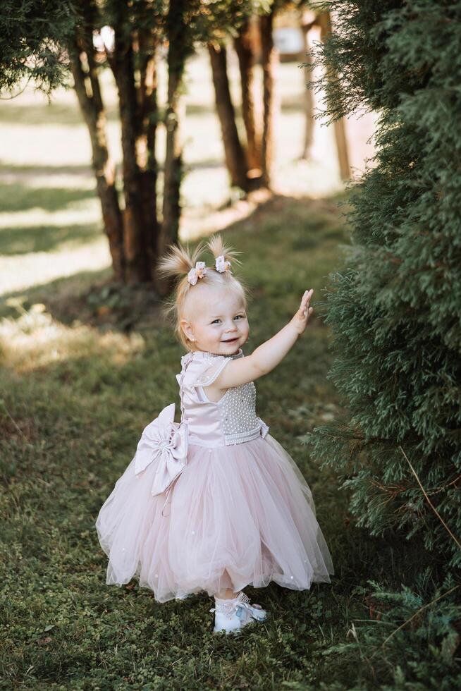 porträtt av en skön liten prinsessa flicka i en rosa klänning. iscensättning i en parkera på grön gräs. lekfull och Lycklig barn. foto