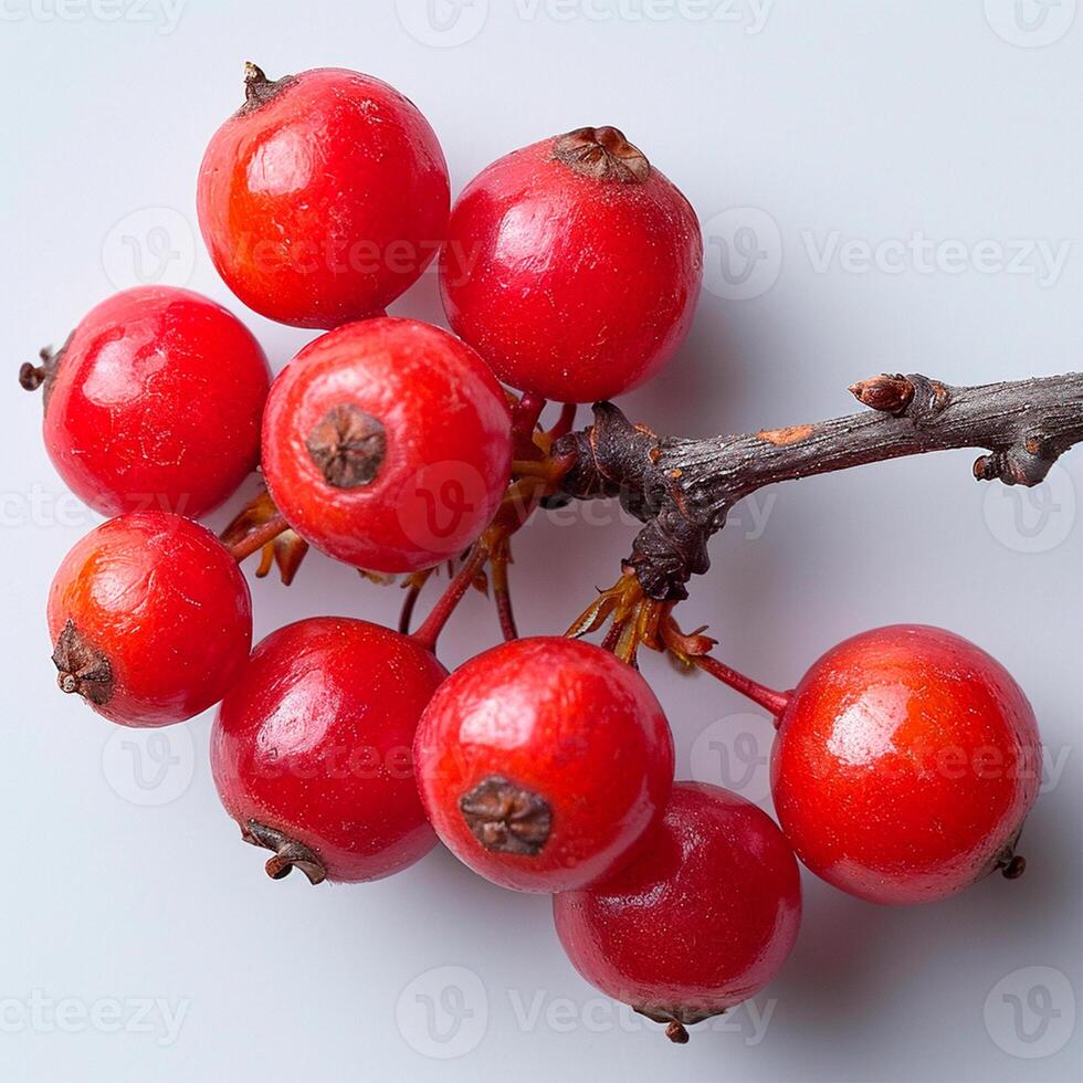 ai genererad röd vinbär bär på en vit isolerat bakgrund - ai genererad bild foto