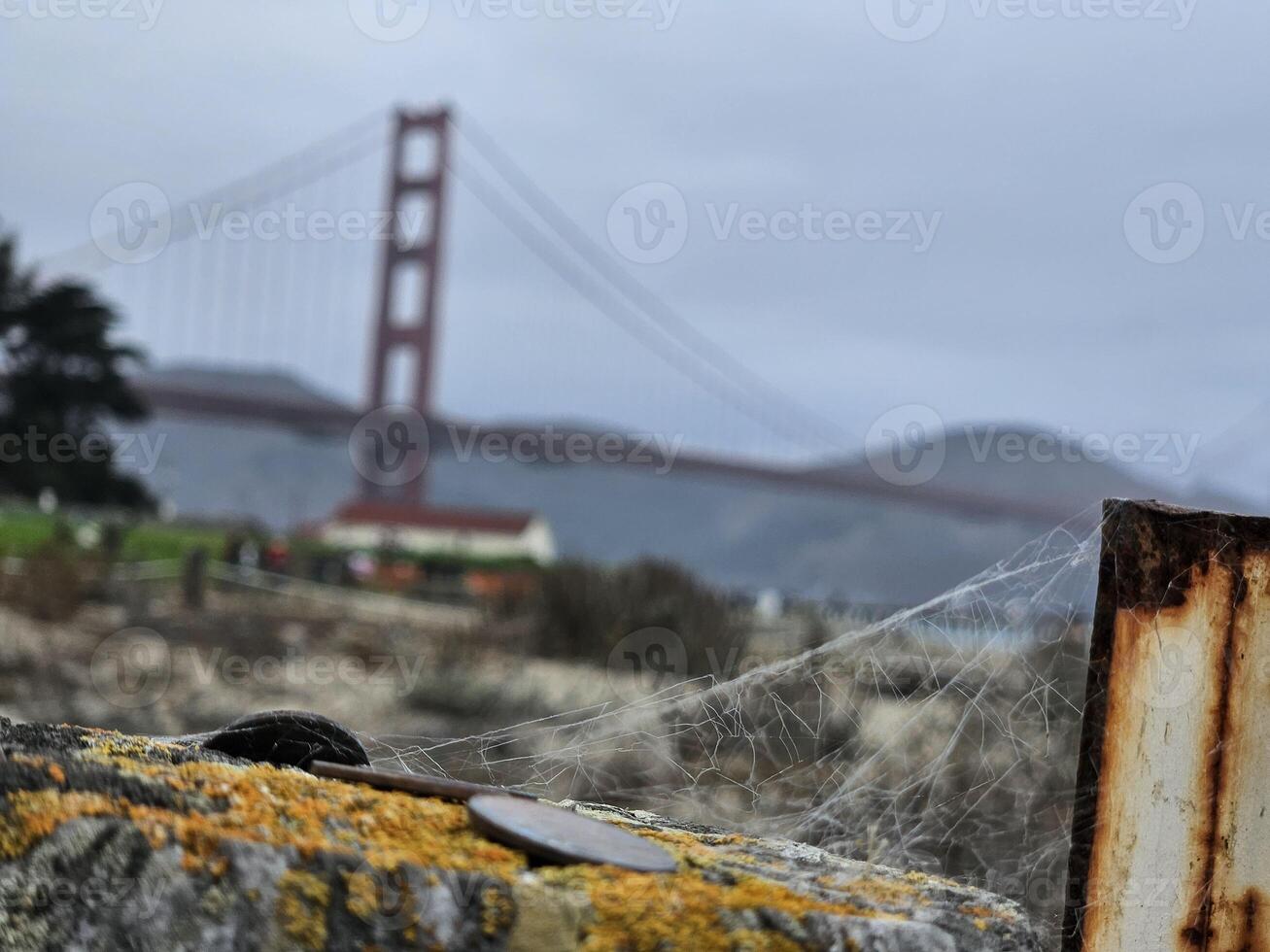 Spindel webb fokus med bakgrund av gyllene Port bro san francisco kalifornien foto