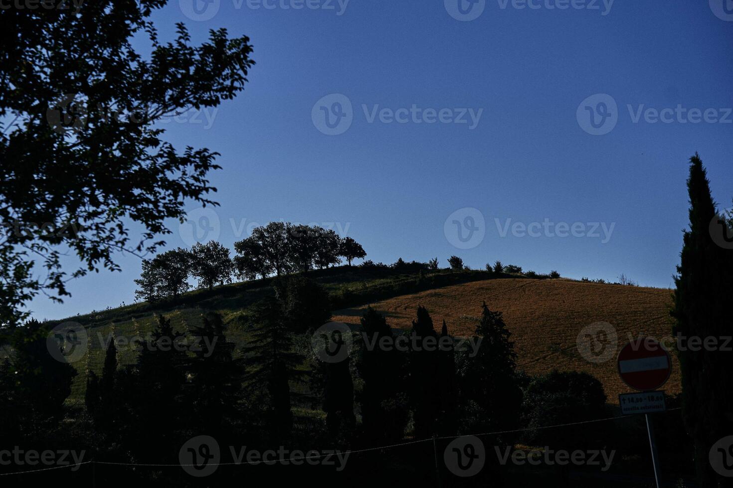 en se av de kullar och hus, runt om bologna, de atmosfär av de italiensk sommar foto