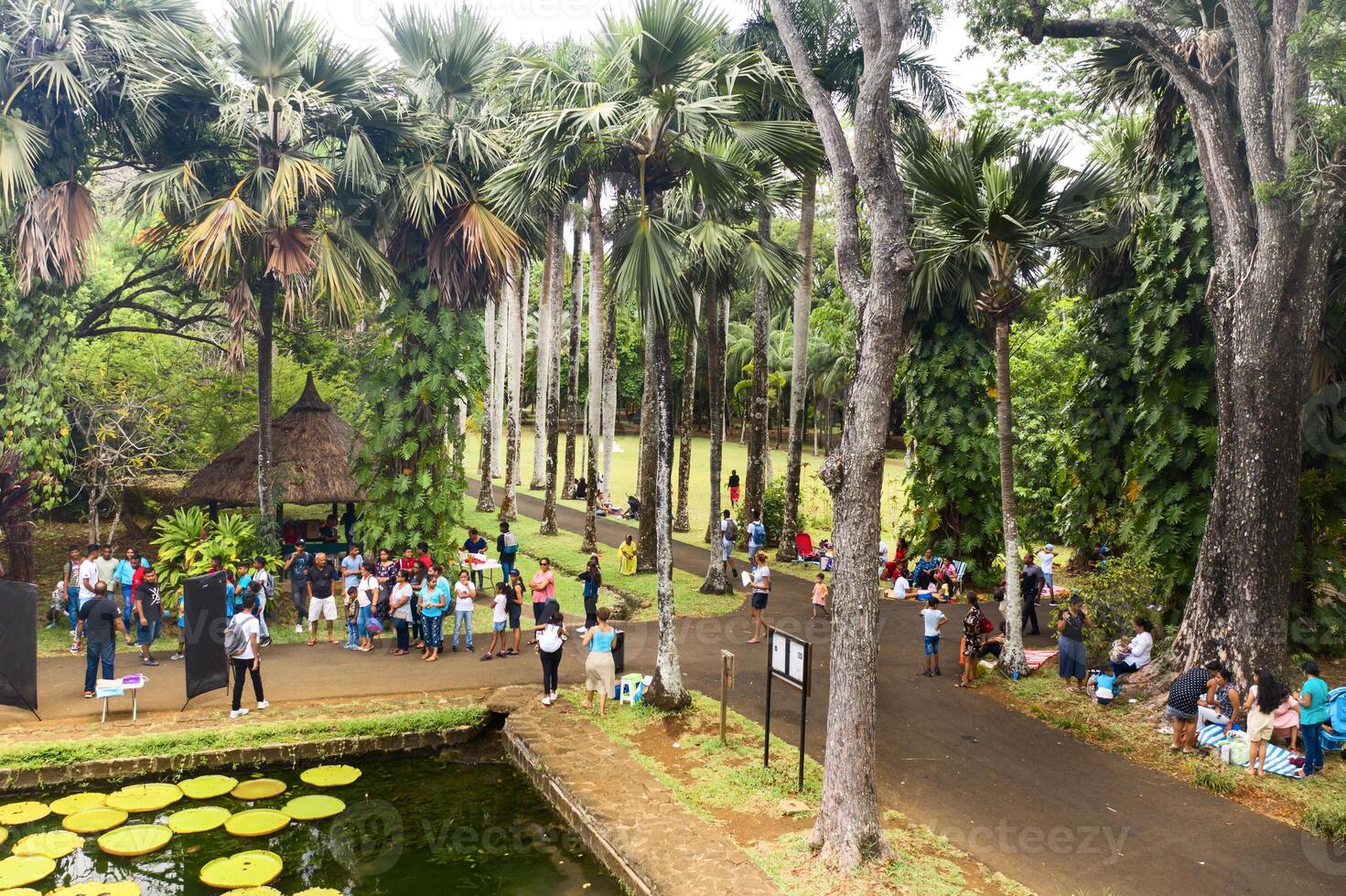 december 08, 2019.botanisk trädgård i pamplemus, lokalbefolkningen koppla av i de trädgård.mauritius. foto