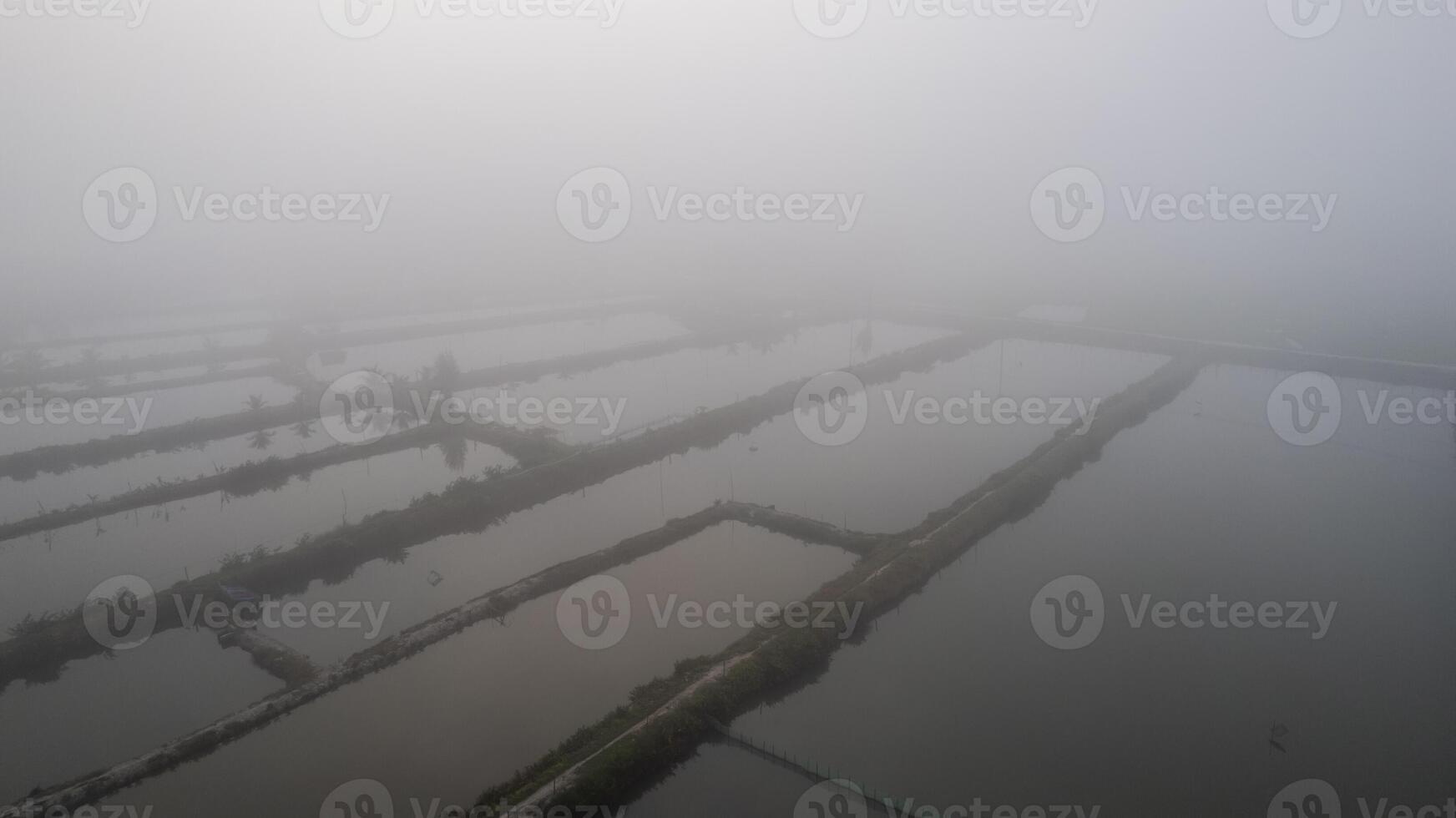 dimmig antenn fisk dammar eterisk landskap foto