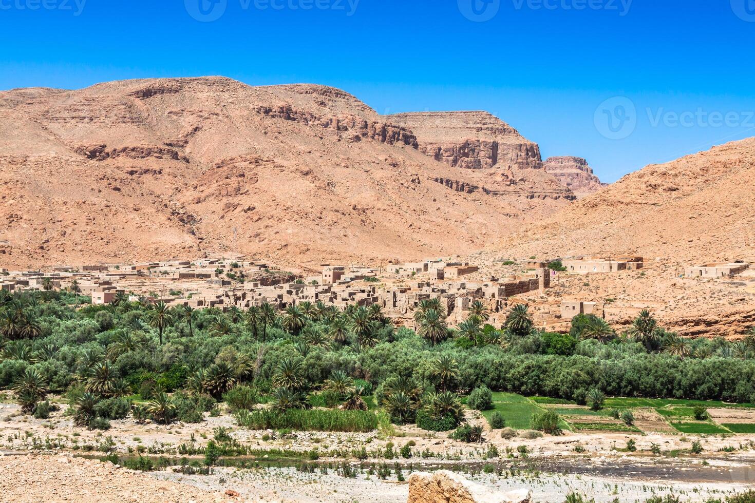 bred se av kultiverad fält och palmer i errachidia marocko norr afrika afrika, djup blå himmel foto