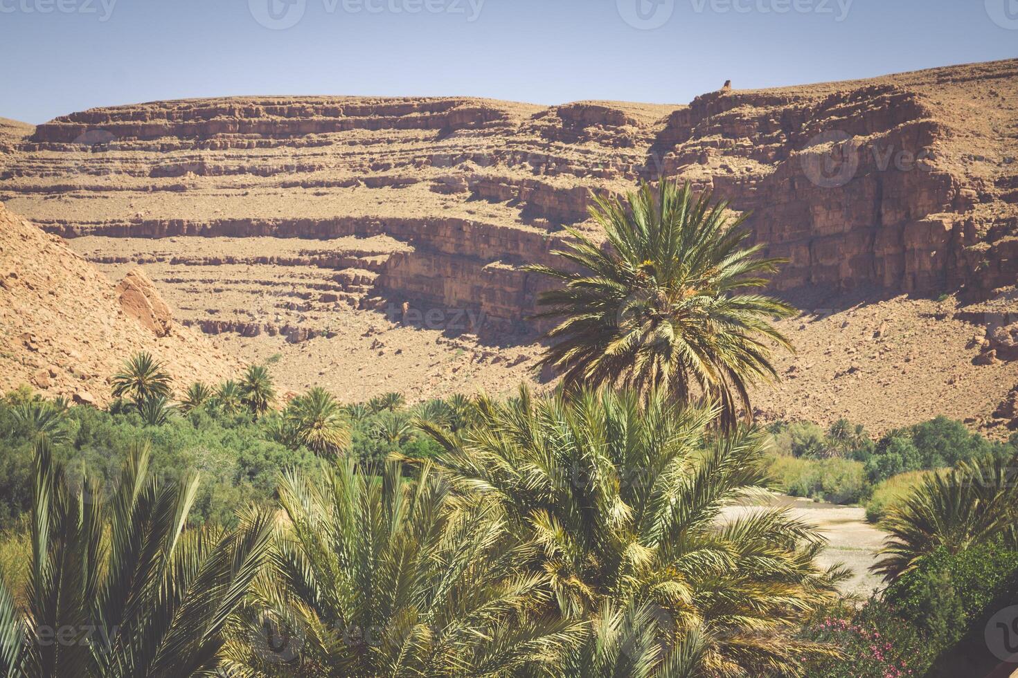 bred se av kanjon och kultiverad fält och palmer i errachidia dal marocko norr afrika afrika foto