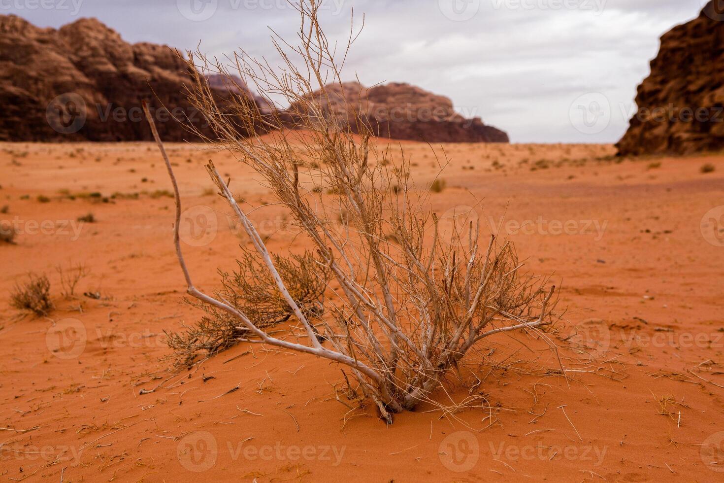 wadi rom öken- i jordan. på de solnedgång. panorama av skön sand mönster på de dyn. öken- landskap i jordan. foto