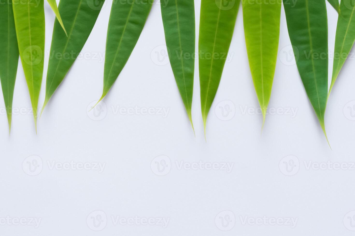 en kulinariska odyssey med de skön pandan blad, infusion delikat aromer och vibrerande grön nyanser in i utsökt maträtter, upphöjande smak profiler med naturens färsk elegans foto