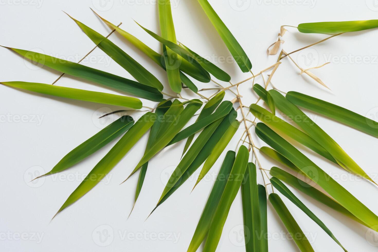 fattande de locka av skön bambu löv, var graciös grön blad dansa i harmonisk symfoni, skapande en lugn oas av naturens balans och tidlös skönhet foto