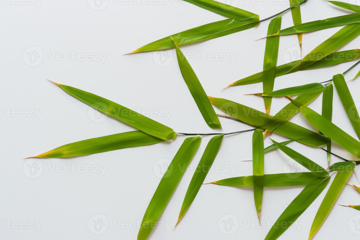 fattande de locka av skön bambu löv, var graciös grön blad dansa i harmonisk symfoni, skapande en lugn oas av naturens balans och tidlös skönhet foto