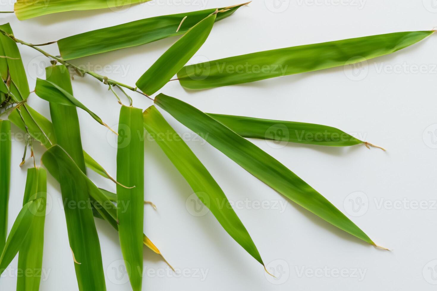 fattande de locka av skön bambu löv, var graciös grön blad dansa i harmonisk symfoni, skapande en lugn oas av naturens balans och tidlös skönhet foto