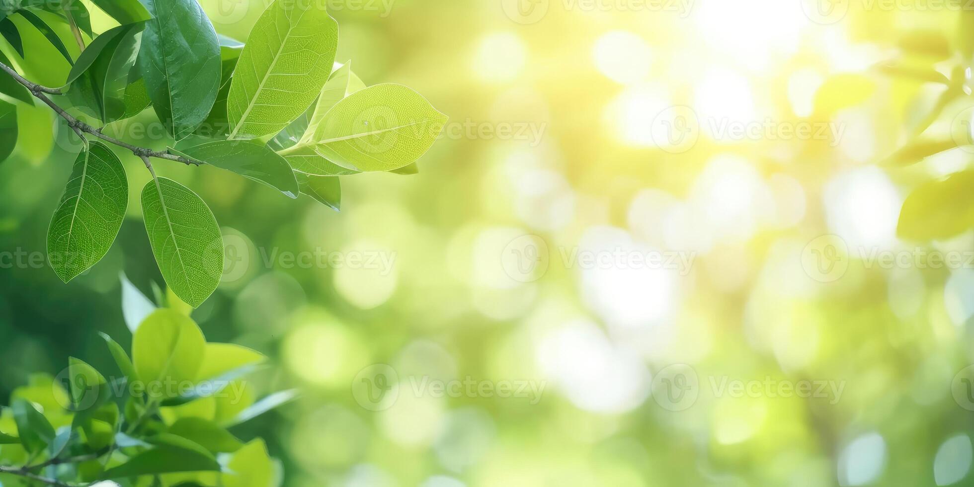 ai genererad skön natur se av grön blad på suddig grönska bakgrund i trädgård och solljus med kopia Plats foto