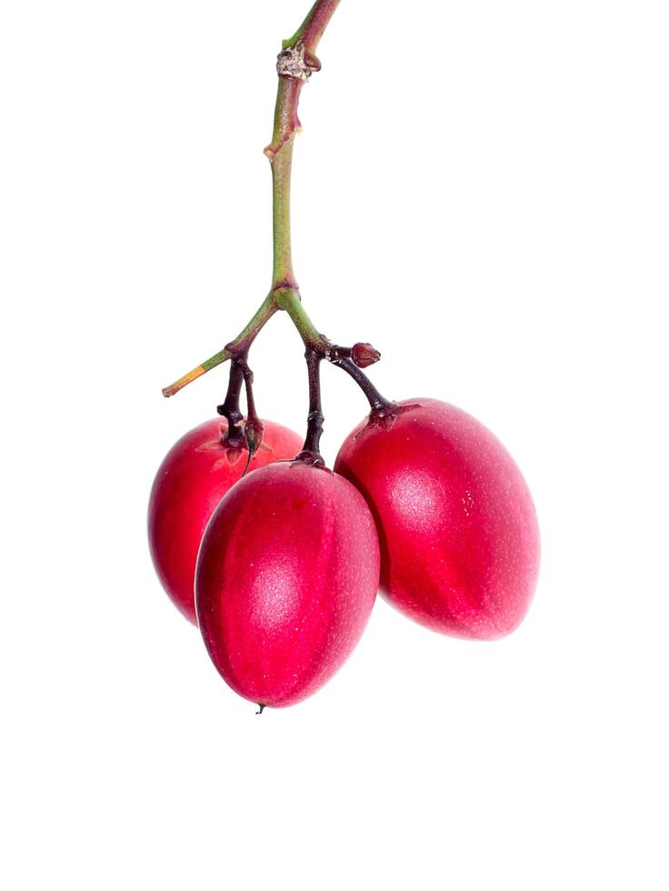 carissa carandas frukt foto