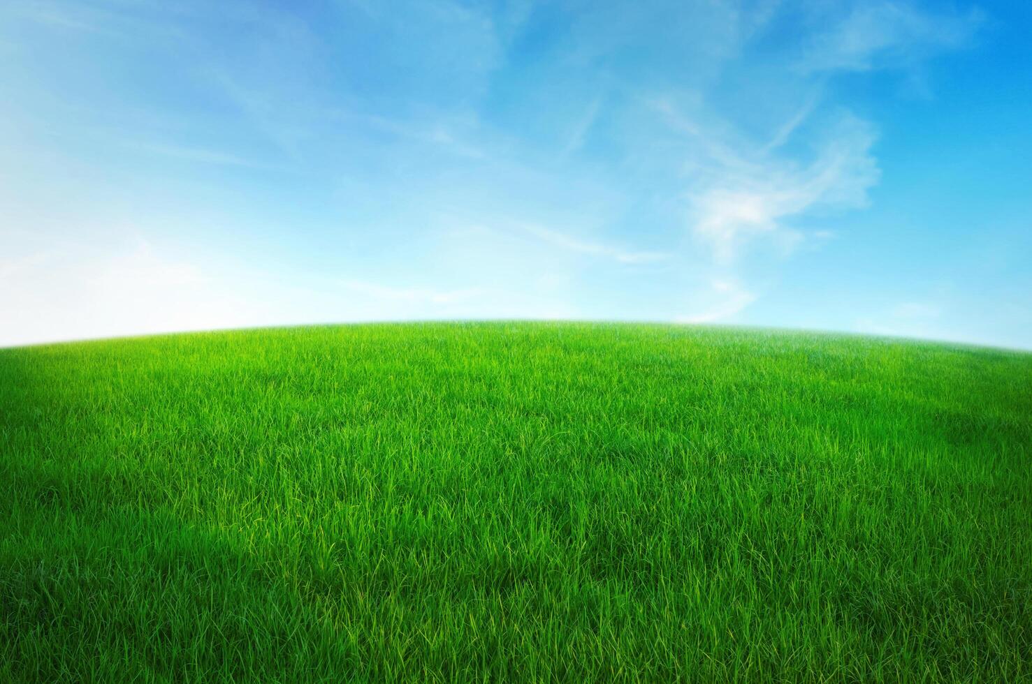 grönt gräsfält med blå himmel och vitt moln. natur landskap bakgrund foto