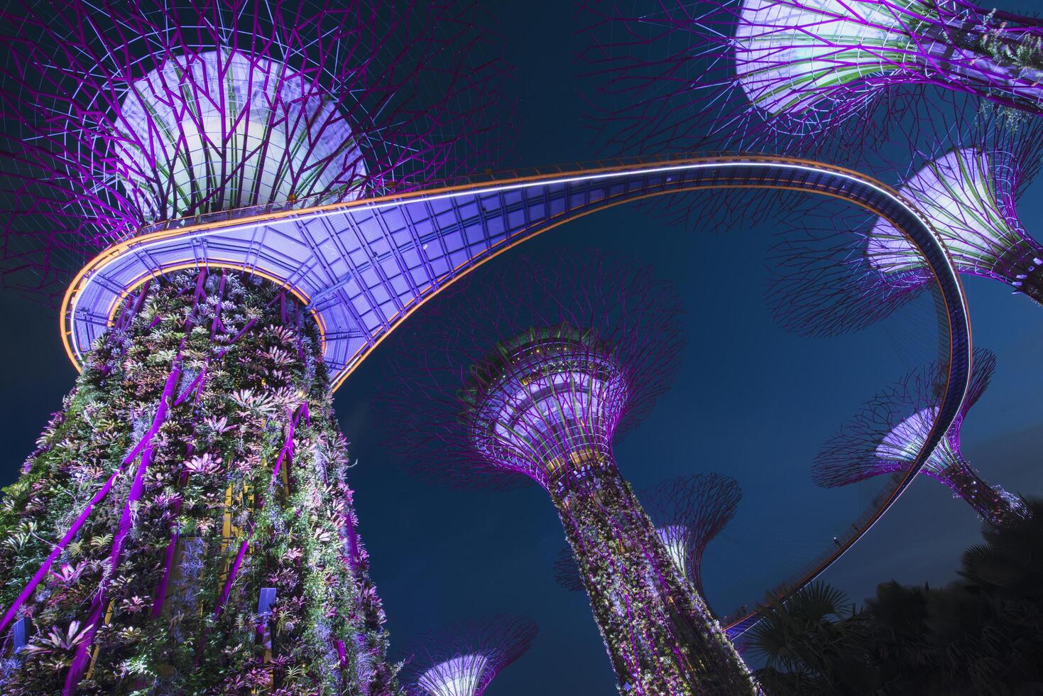 singapore, singapore, 2014, trädgårdar förbi de bukt på natt, singapore, Asien foto