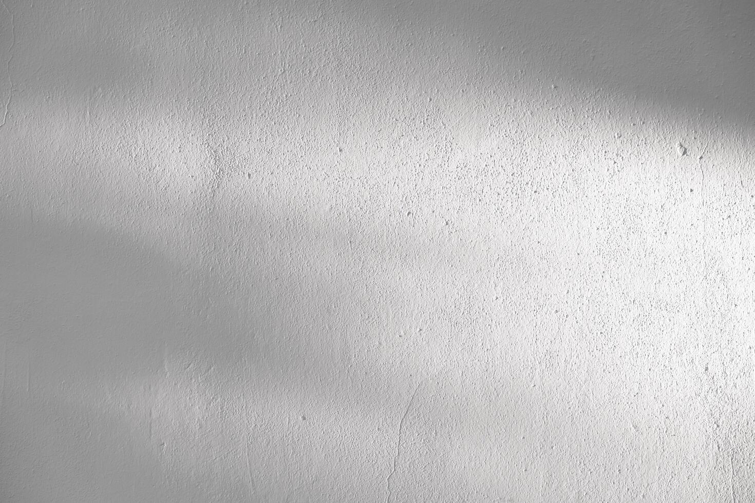 bakgrund vit studio rum, tomt betong kök vägg textur med ljus, löv skugga, bakgrund visa attrapp grå cement grov yta golv med kopia Plats för försäljning produkt närvarande baner foto
