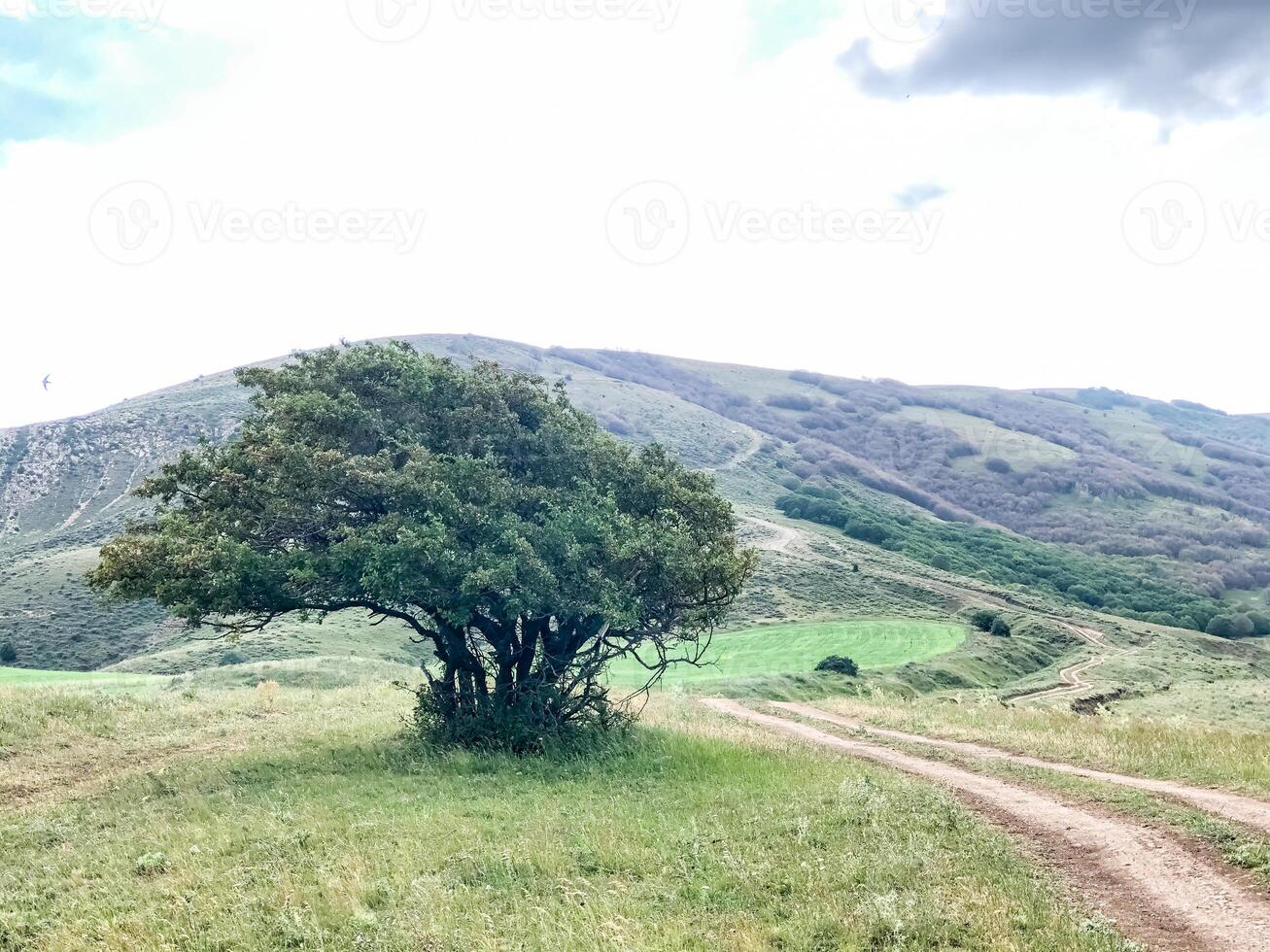 vår landskap, natur i vår foto