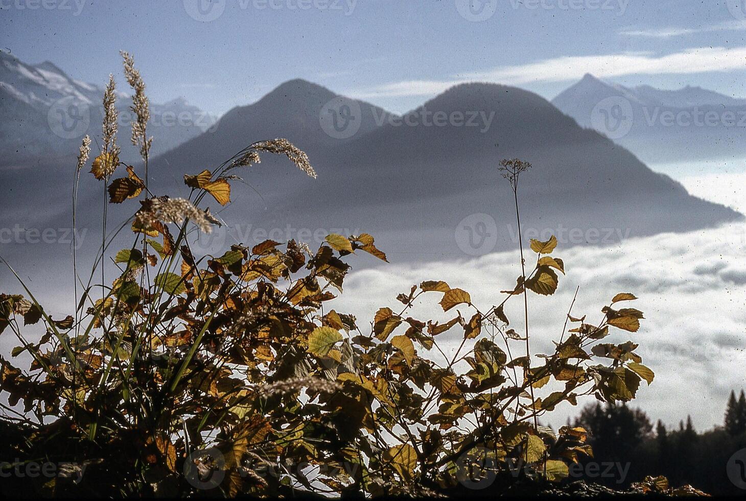 en se av de bergen från en berg topp foto