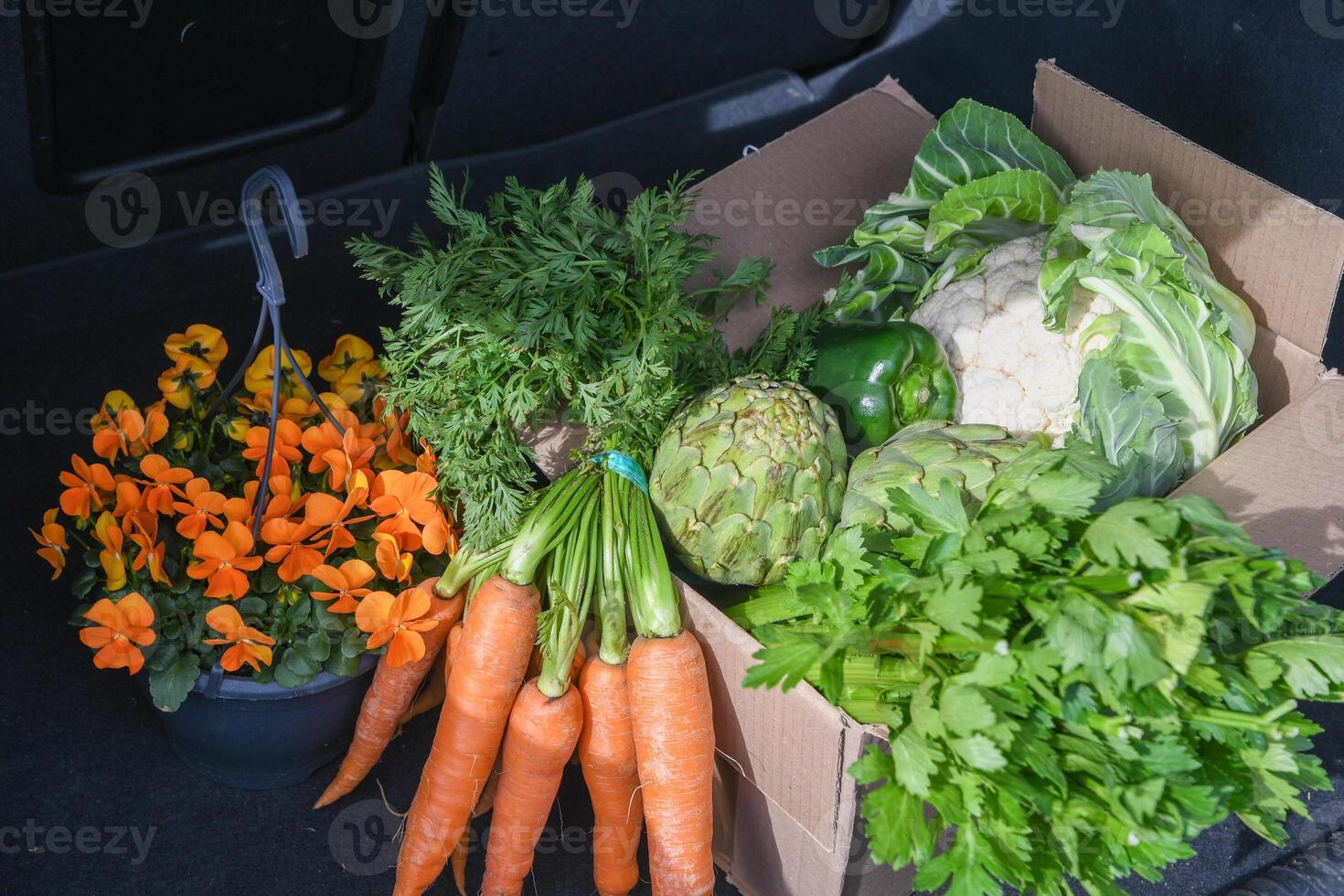 kartong låda med ett sortiment av färsk grönsaker står i de trunk av en bil, naturlig Produkter och friska äter foto