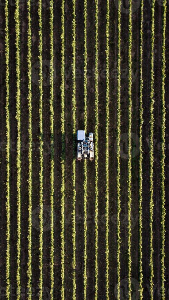 antenn se av traktor arbetssätt på sojaböna fält i vår. foto