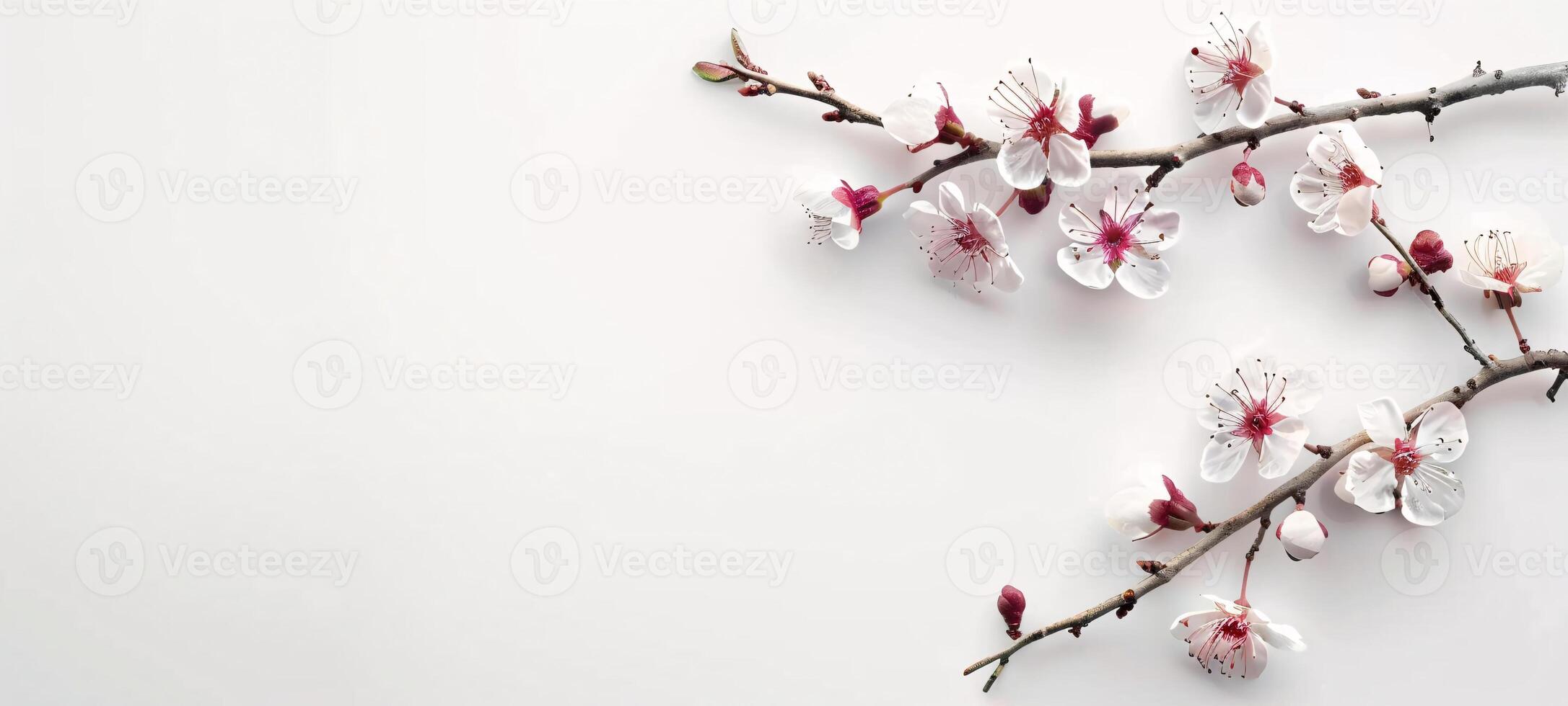 ai genererad blomstrande körsbär gren på vit bakgrund foto