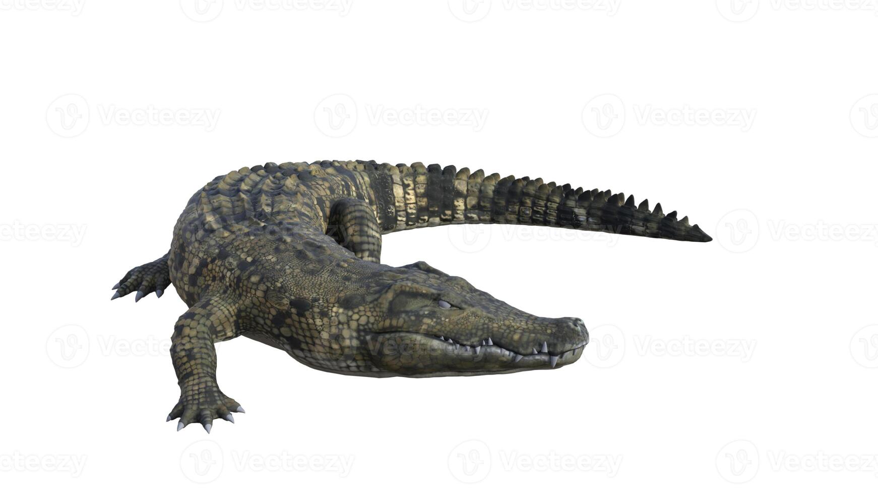 3d tolkning av en krokodil på en vit bakgrund foto