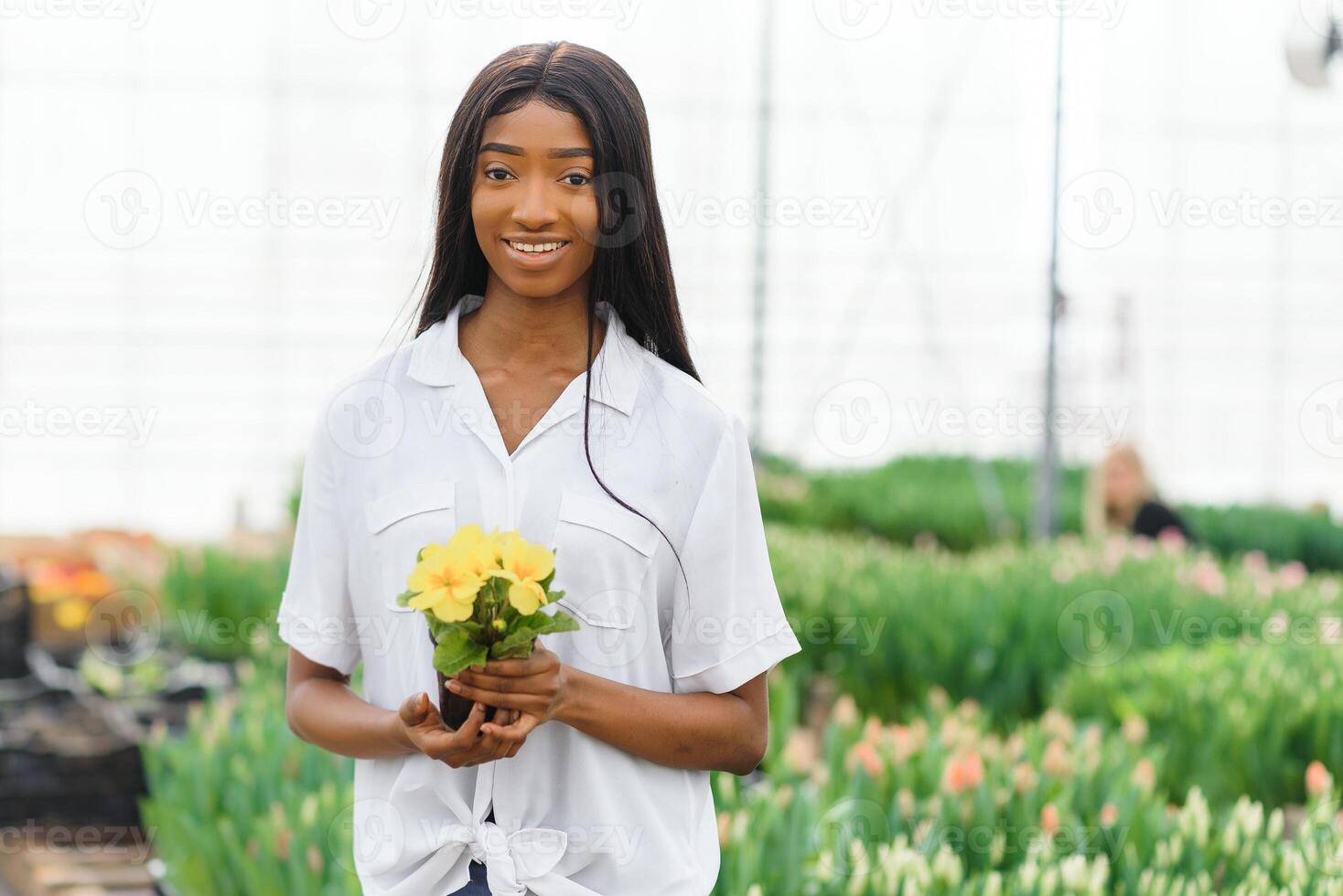 vår och plantor. leende afrikansk amerikan flicka i förkläde bär en låda med ung växter på blommor bakgrund i interiör av växthus foto