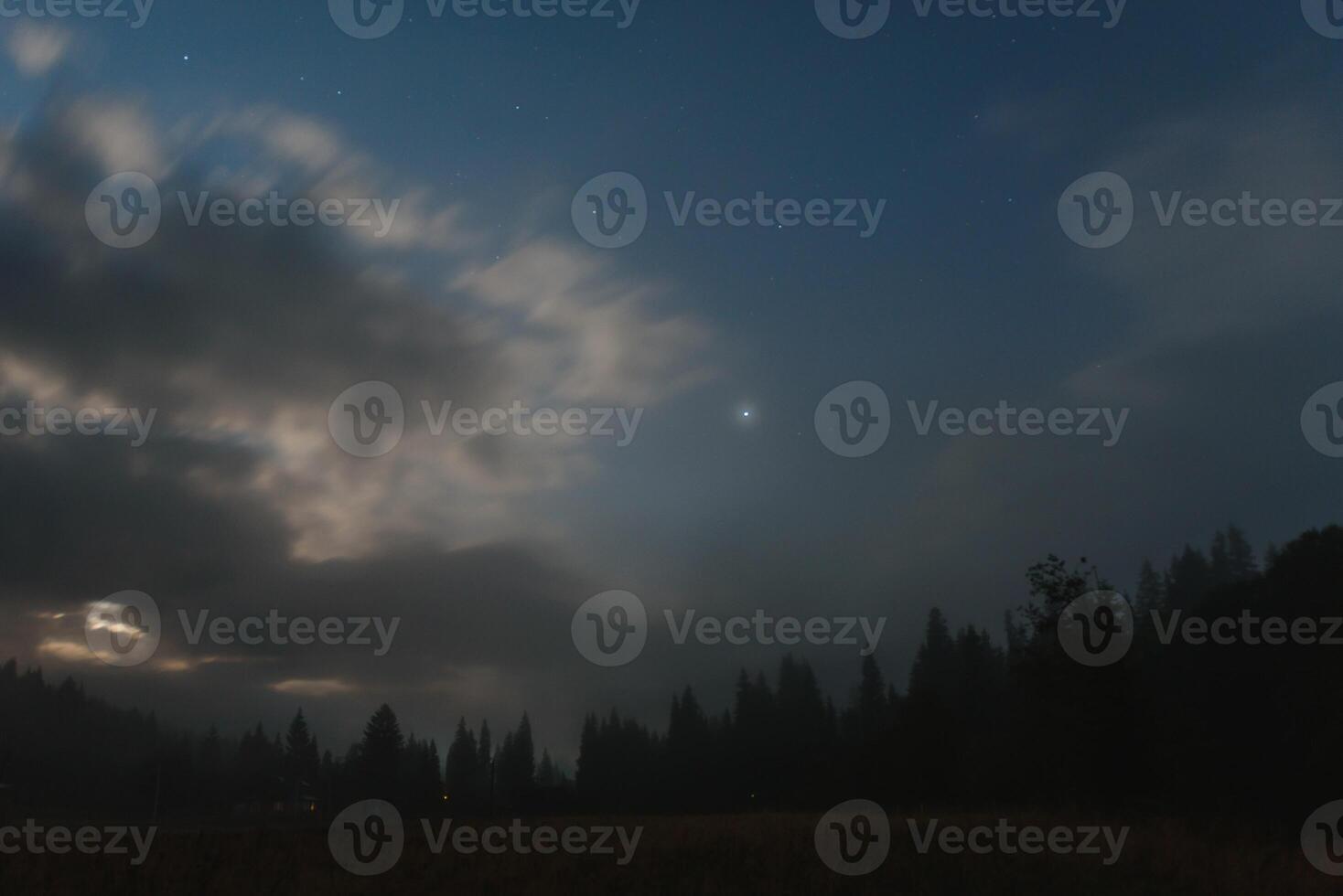 vild skog silhuett på berg under stjärna natt himmel. skön silhuetter av barr- träd på kulle i mörk starry natt. foto