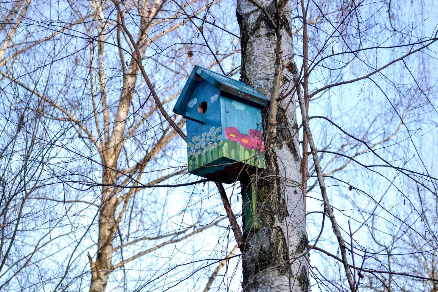 färgrik fågelholk på de träd. nesting låda. foto
