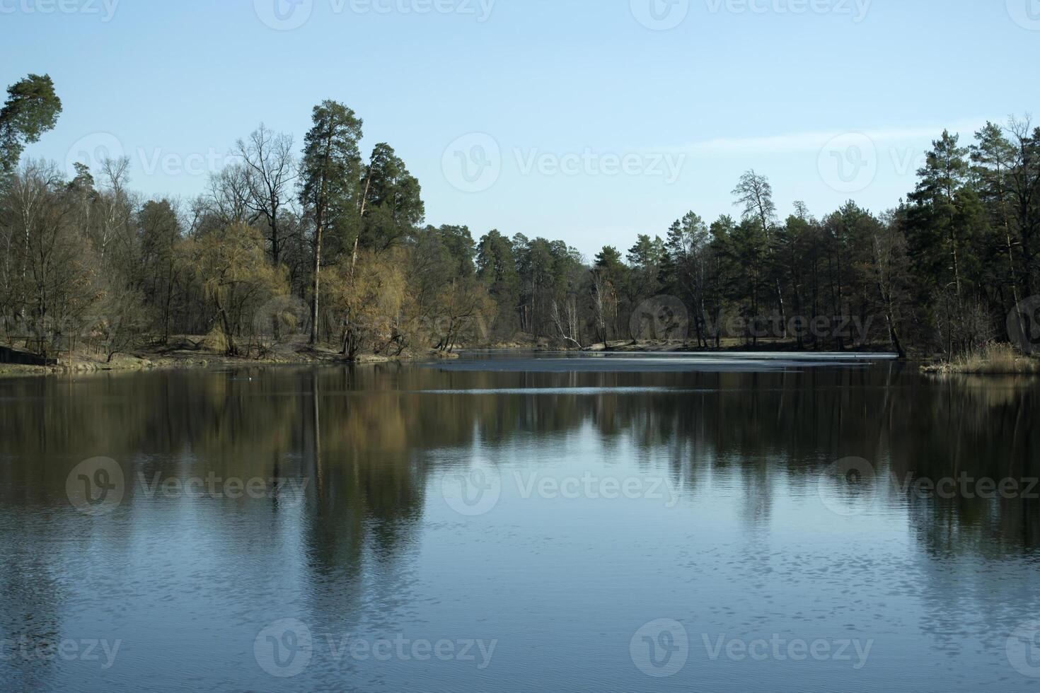 skog landskap på vår. solsken väder. skog sjö. foto