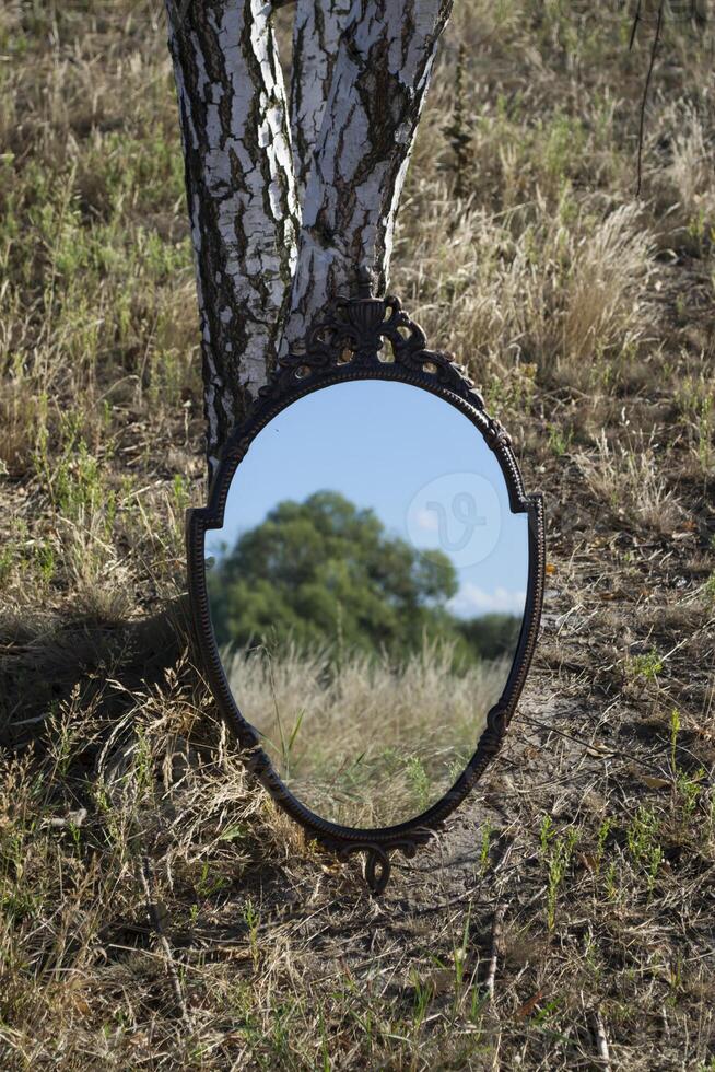 årgång spegel i de sommar fält. reflexion av natur i en spegel. foto