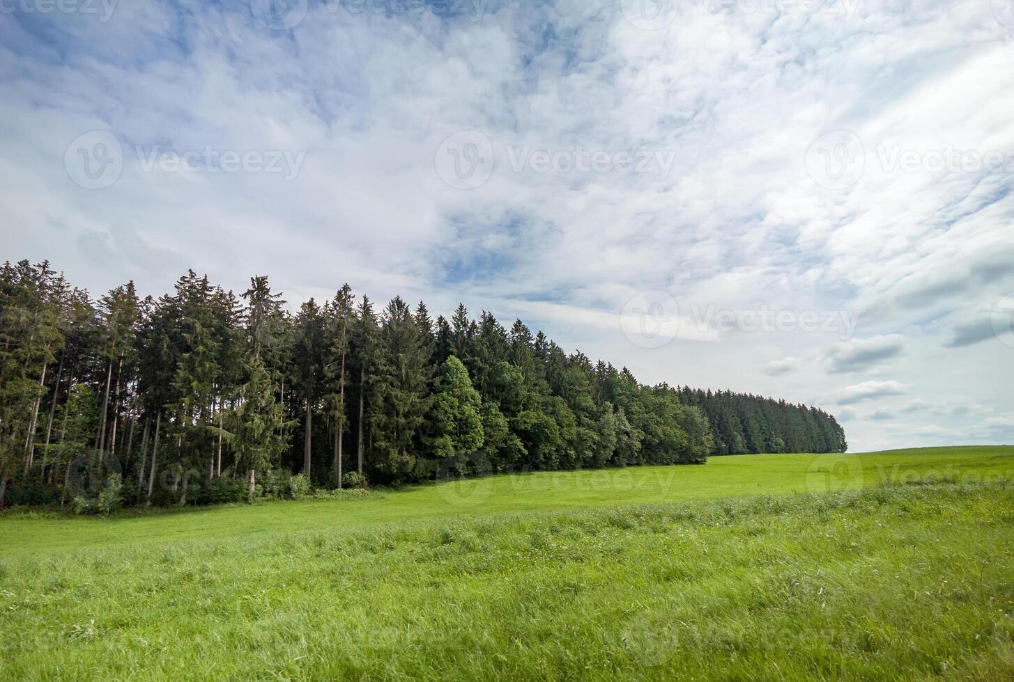 berg räckvidd natur landskap. skog och berg landskap. skönhet i natur. foto