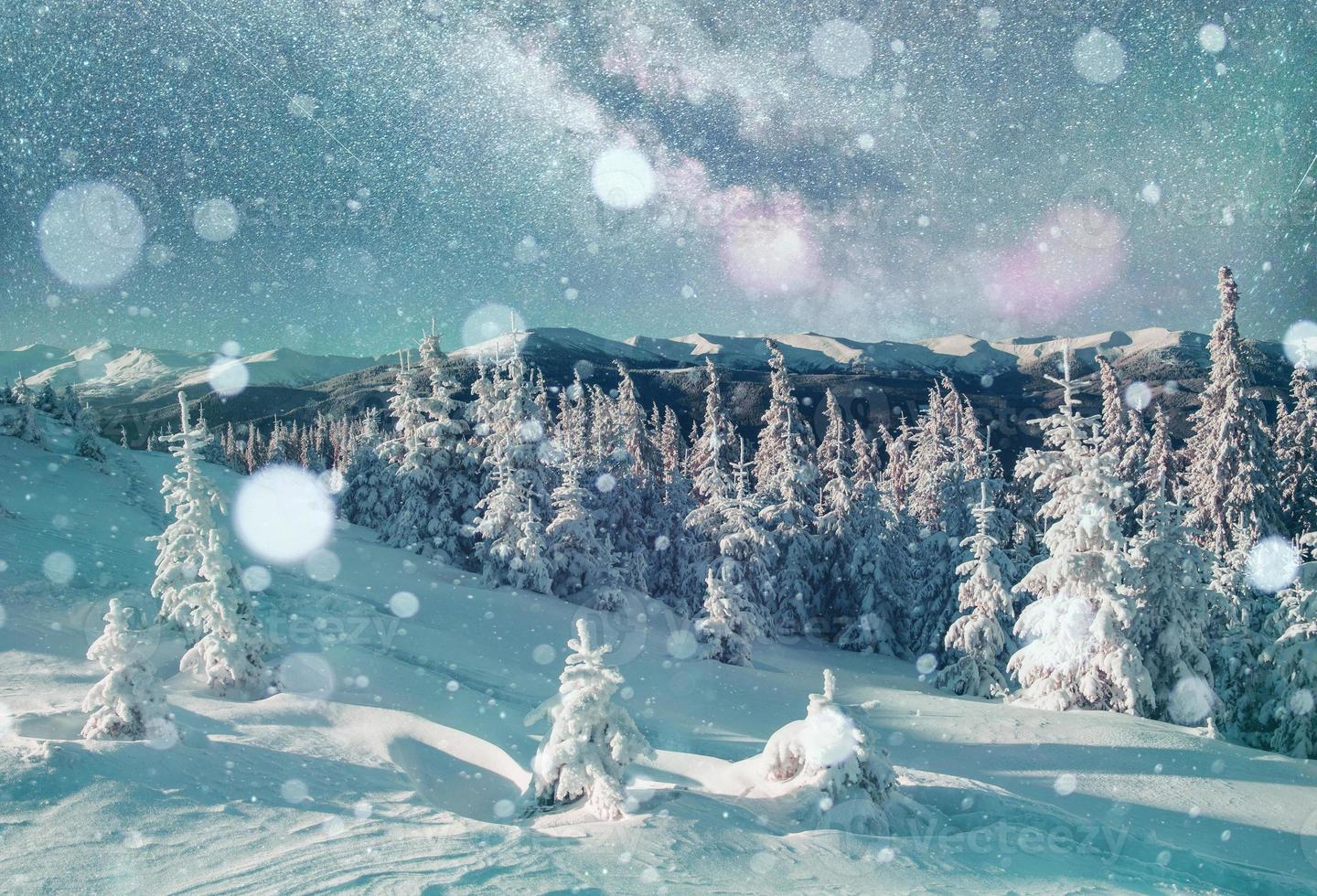färgstarka vinterlandskap. majestätisk karpatskog. enastående natur foto