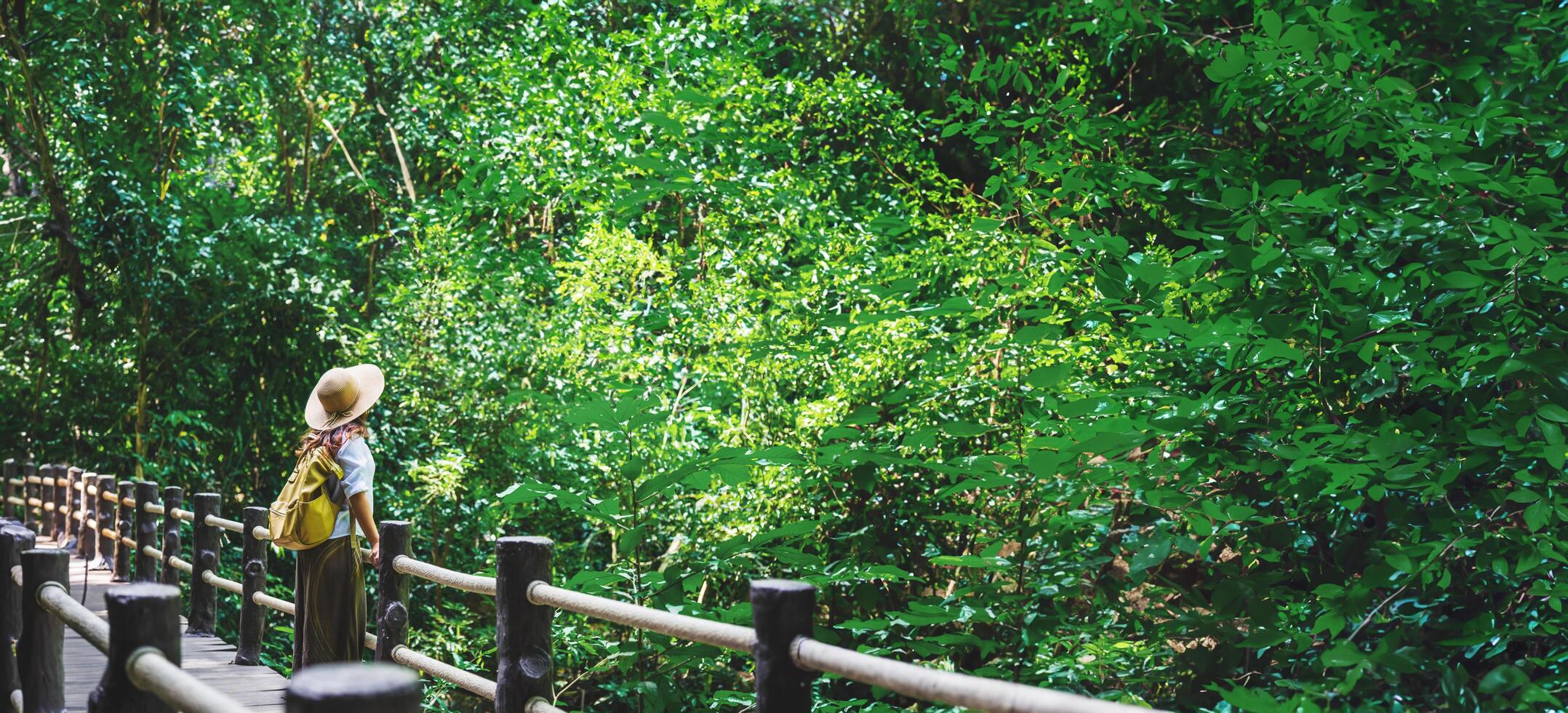 de flicka gående i de bro och njuter de turism i genom de mangrove skog. vattenfall än bok khorani natur spår. krabi, koppla av, resa, ryggsäck, natur, turism, landsbygden. foto