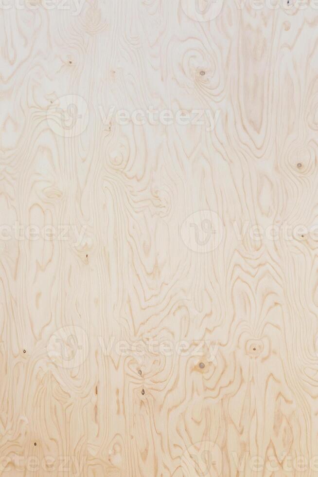 faner plywood textur foto