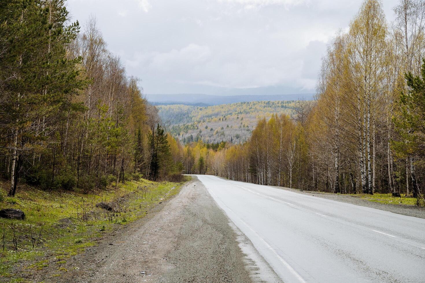 ett asfalt väg gående in i de distans, ett höst landskap i molnig väder, en vid vägkanten, en berg räckvidd, en blad falla. foto