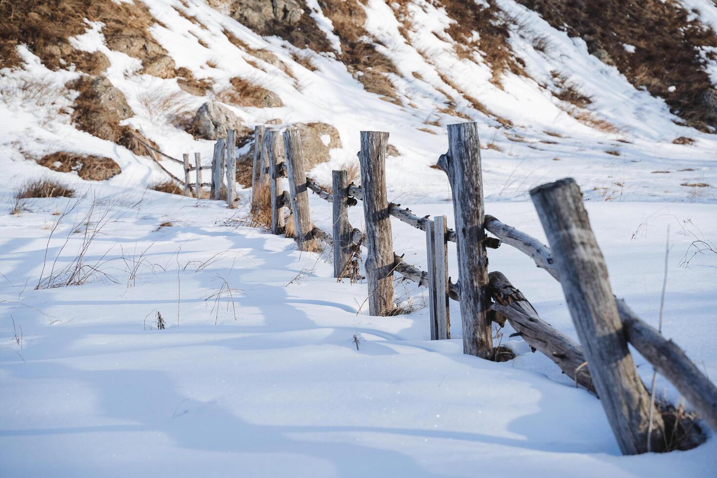 staket staket tillverkad av loggar av gammal torr träd, vinter- landskap på de ranch, inhägna för boskap, vit snö i natur. foto