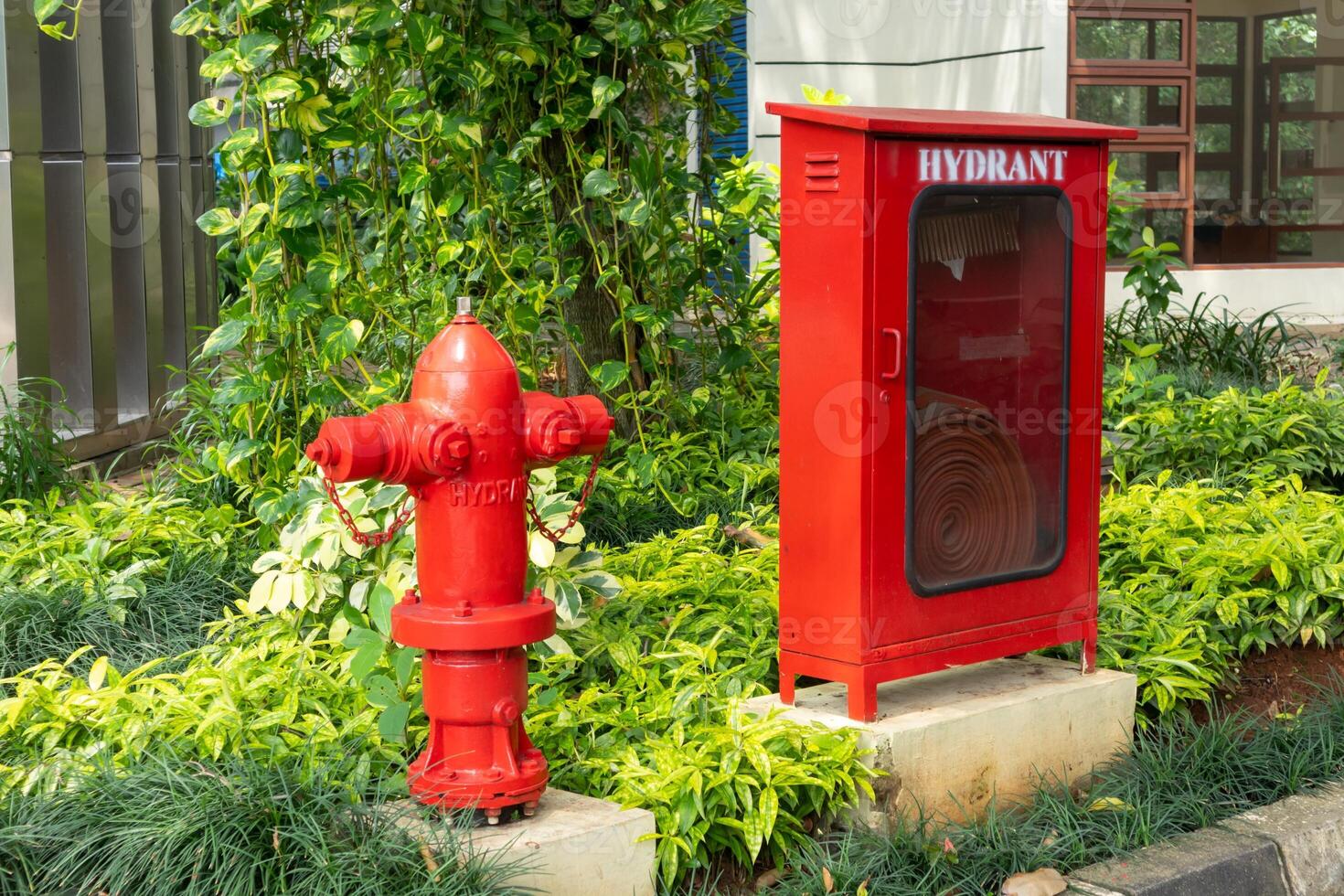 röd brand brandpost och brandpost slang låda i de parkera. utomhus. foto