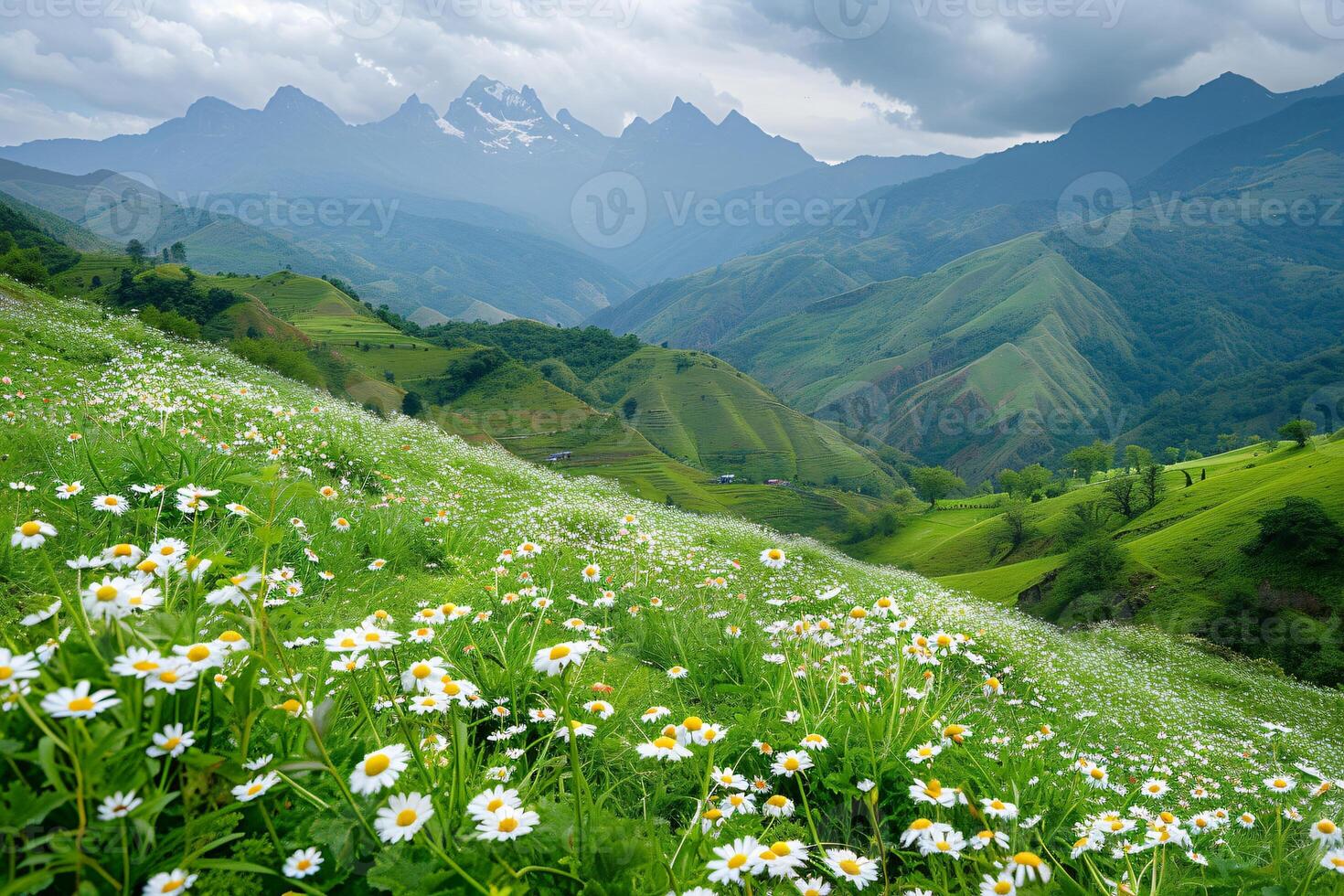 ai genererad de lugn skönhet av grön kullar i highlands dekorerad med vit daisy foto