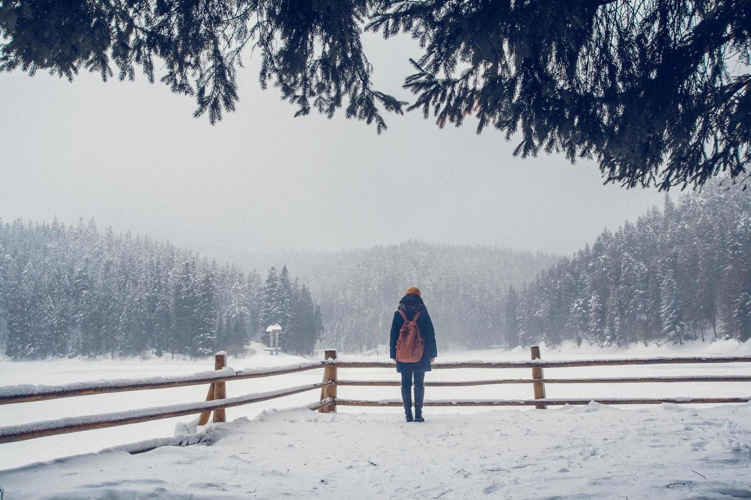 vacker flicka med en ryggsäck på en bakgrund av snötäckt skog foto