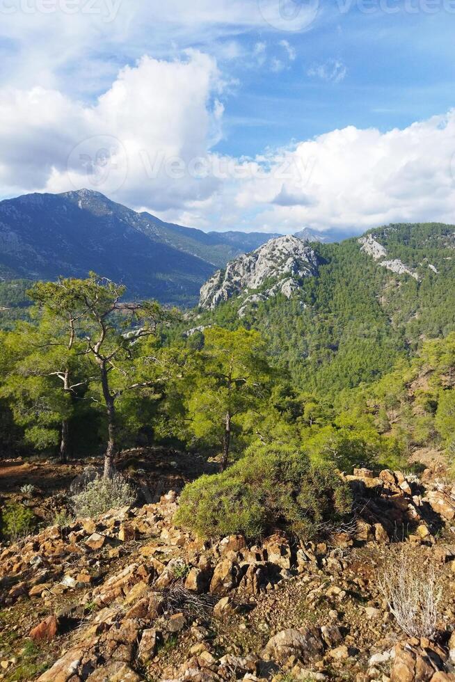 naturskön se av de berg täckt med grön träd och växter med blå himmel i de bakgrund foto