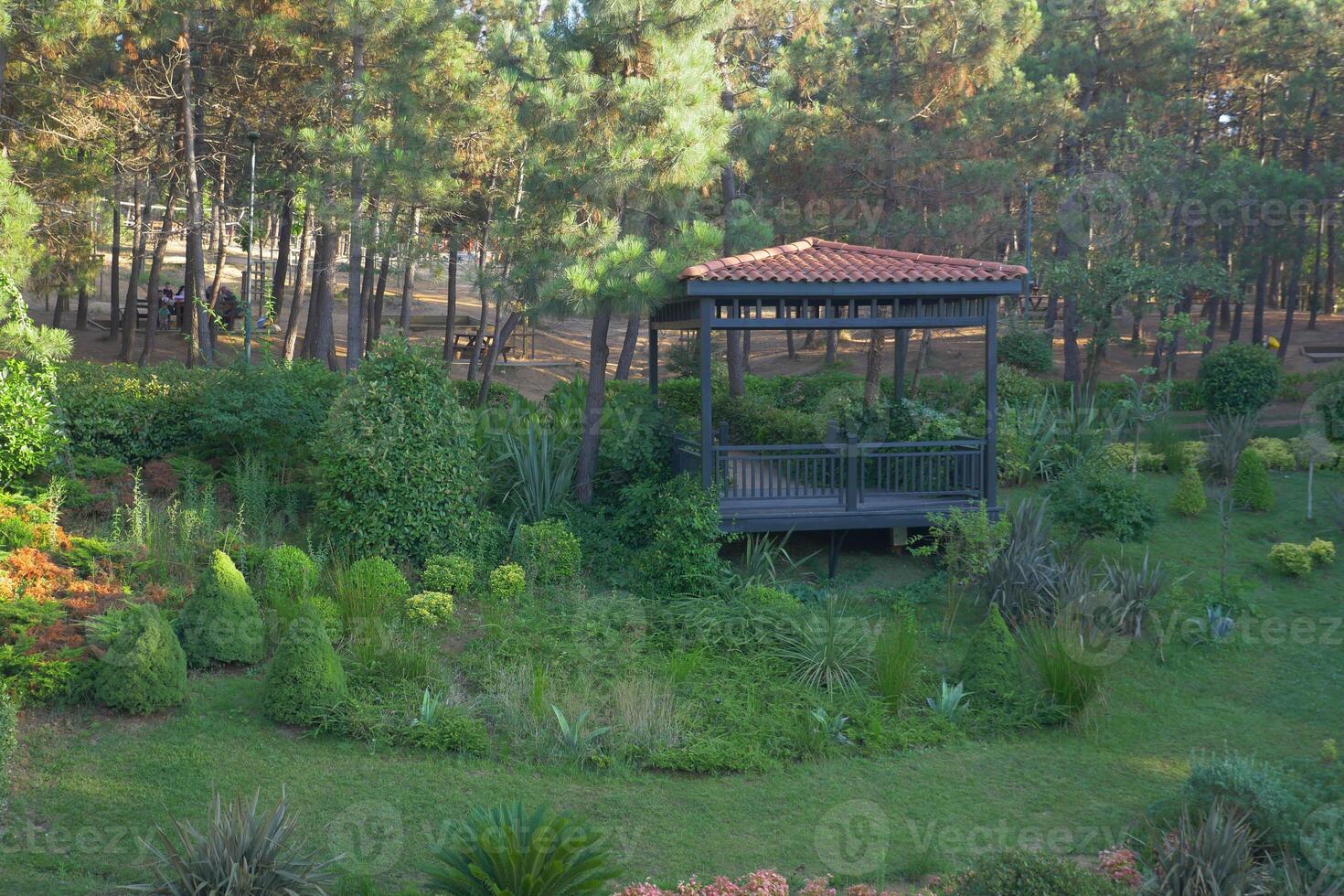 en lusthus inbäddat mitt i vibrerande grönska av en skog foto