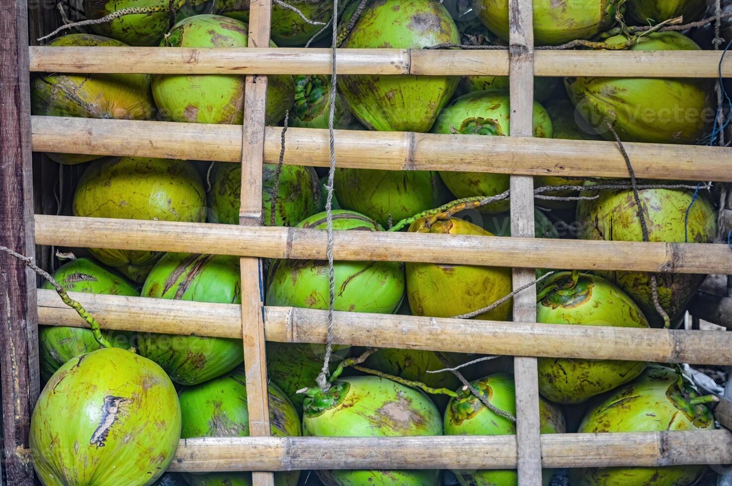 lugg av ung grön kokosnötter i en bambu korg foto