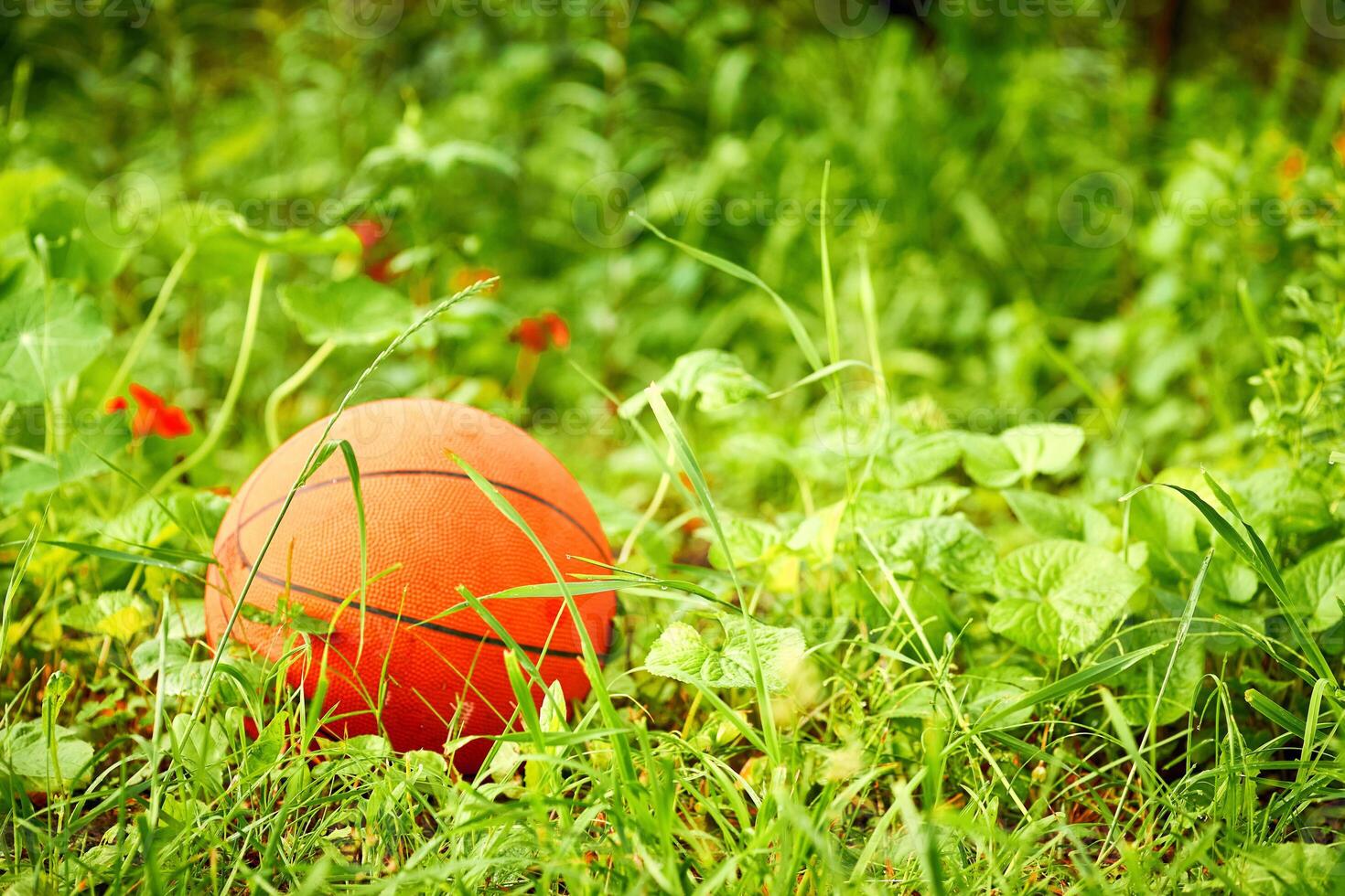 orange basketboll boll för spelar på en blommig grön äng foto
