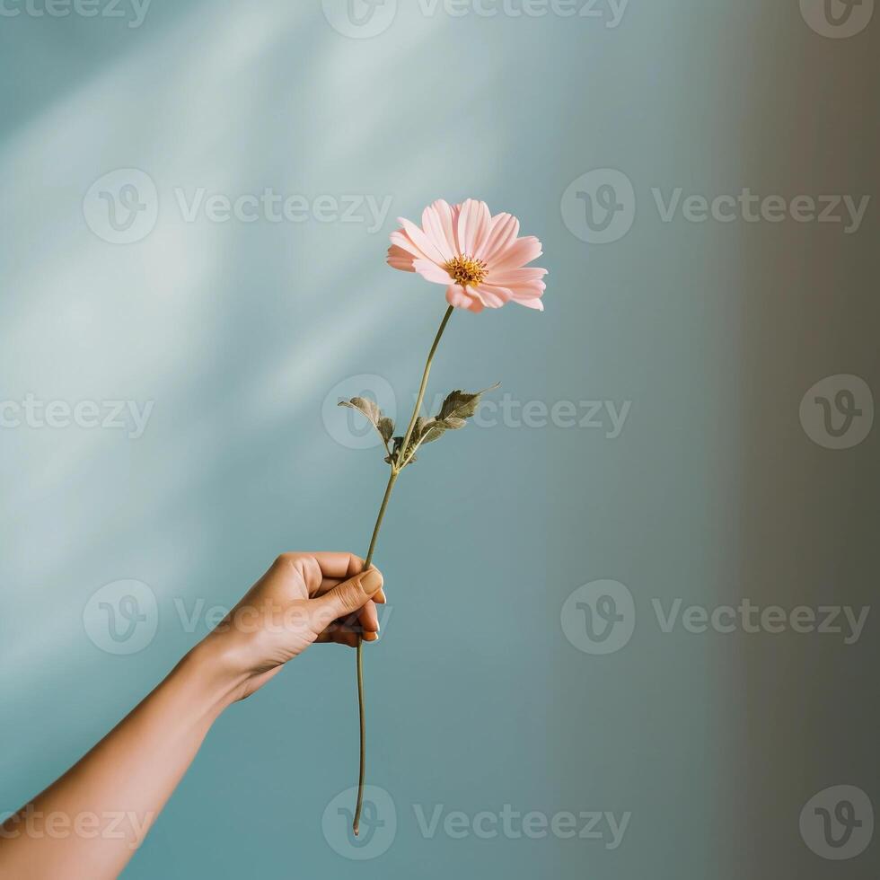 ai genererad kvinnas hand med rosa gerbera på en minimalistisk blå bakgrund. fotografi med de begrepp av skönhet och organisk vård foto